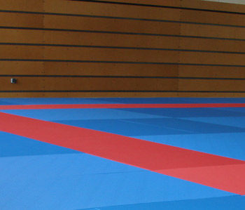 Tatamis competition 50mm vinyl antiderapant label judo