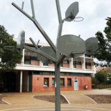 l'Arbre à Basket à Gennevilliers