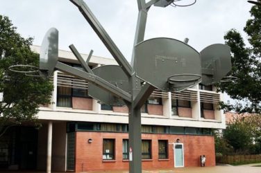 l'Arbre à Basket à Gennevilliers