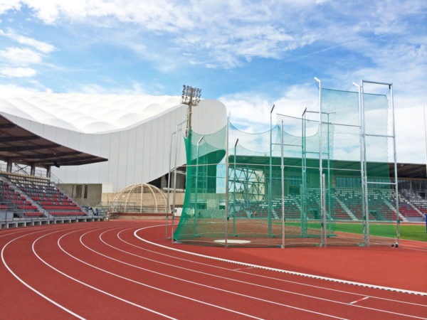 Wa hammer and discus cage version 2021 - Image 2